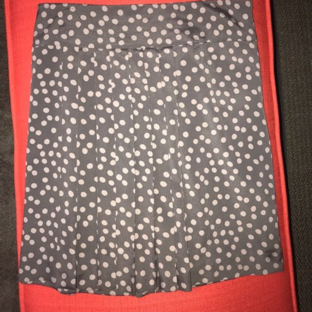 Polkadot Pleated Skirt